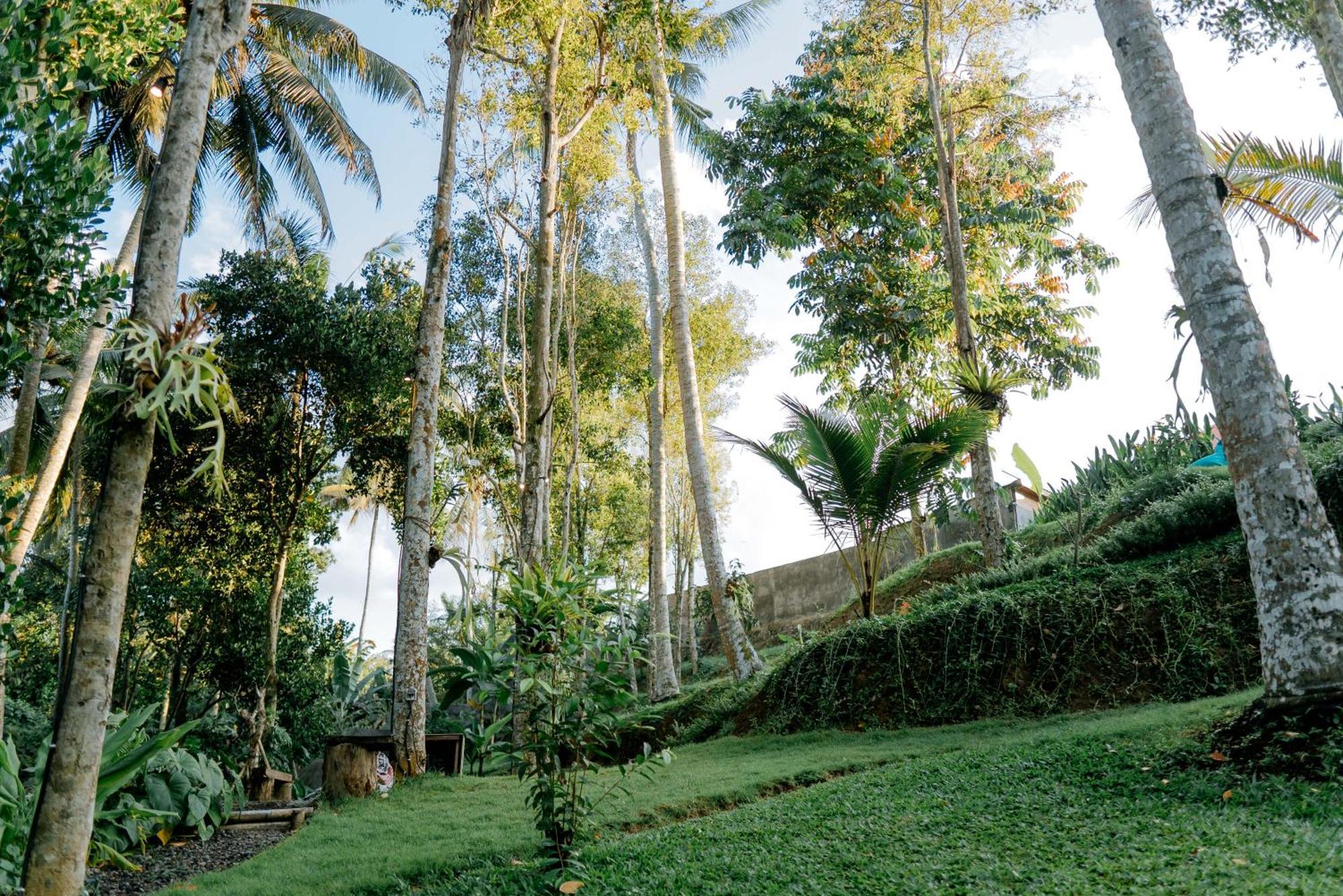 Bali Made Escape Hotel กีอันยาร์ ภายนอก รูปภาพ
