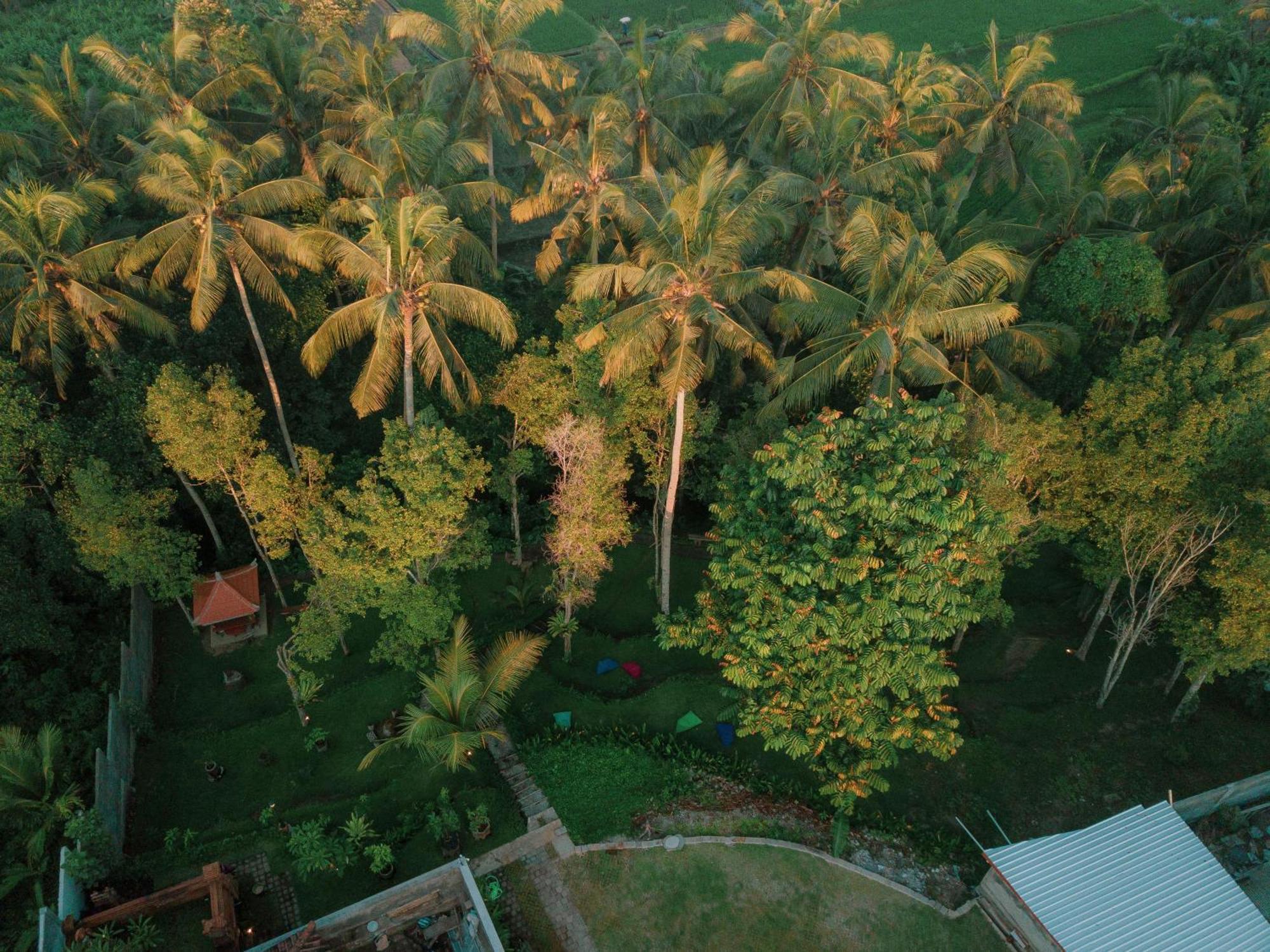 Bali Made Escape Hotel กีอันยาร์ ภายนอก รูปภาพ